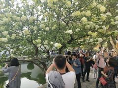 -南京维景国际大酒店(南京博物院店)