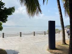 -深圳湾公园(南山区)