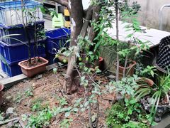 -李东农庄(中南百草园地标店)