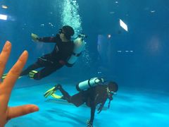 -华夏文旅海洋公园