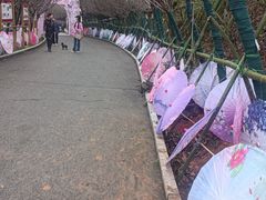-牛鱼嘴原始生态风景区