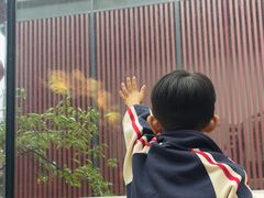 -唐猫庭院·千年陕菜(大唐不夜城店)