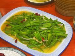 -菌之家·专业纯野生菌火锅·特色炒菌
