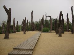 DSC00210-金沙遗址博物馆