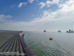 -贡湖湾湿地公园
