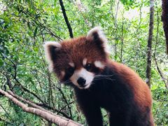 -普洱太阳河森林公园