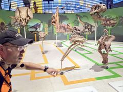 -国家自然博物馆