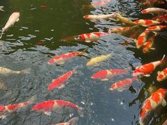 -香麒园·过桥米线·南湖雅宴
