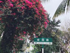 -万绿园