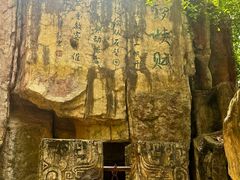 -铁山坪森林公园