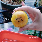 这个泡芙也太好吃了吧[调皮]