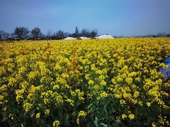 -中国天府农业博览园