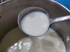 -舒小笼松针小笼包
