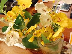 -猫姑娘大盘鸡(商城路店)