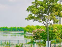 -蟹天蟹地农家菜·阳澄湖大闸蟹(浅水湾店)