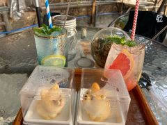 -柴犬高等学院·狗咖·柴犬售卖·宠物训练