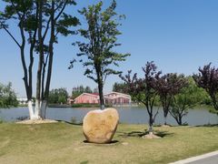 -上海长兴岛郊野公园