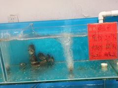 -王大厨·海鲜·家常菜