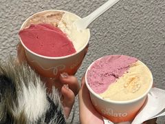 -Dip in Gelato(富民路店)