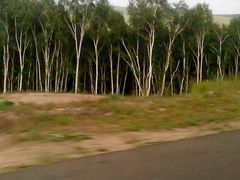 android_upload_pic-木兰围场
