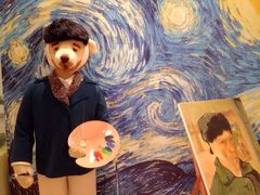 泰迪熊博物馆-济州岛泰迪熊博物馆