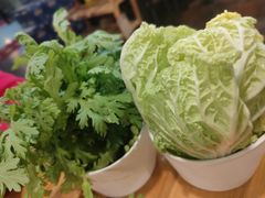 -老诚一锅羊蝎子(黄寺大街店)