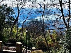 -紫金山山顶公园
