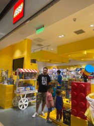 -乐高授权专卖店(浦东嘉里城店)