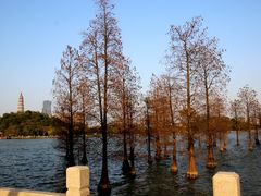 -顺峰山公园