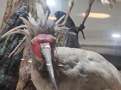 -下渚湖国家湿地公园科普馆