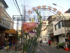 -溪岸路花鸟市场
