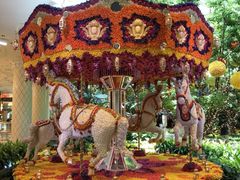 -拉斯维加斯永利酒店