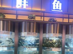 -老船舫·现做活鲜鱼馆(东郊记忆店)