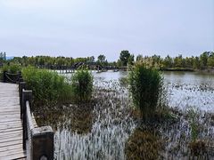 -野鸭湖国家湿地公园