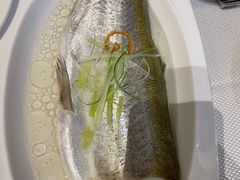 太湖白鱼-太湖饭店·寄畅轩中餐厅