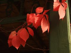 -卧龙堡客栈·中餐厅(古北水镇店)