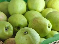 -康悦印象·养生足疗·SPA(33小镇店)