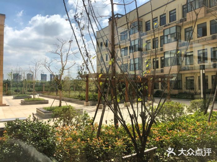 三墩镇山桥小学-图片-杭州学习培训-大众点评网