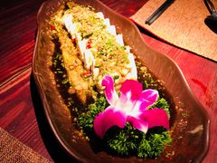 -花马天堂云南餐厅 Lost Heaven(高邮路店)
