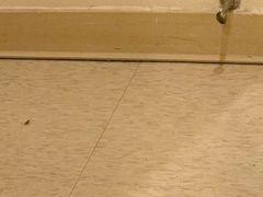 -锦江之星(广州海珠江泰路地铁站店)