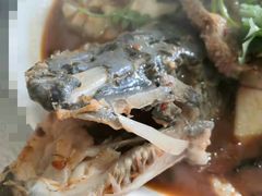 -煲来饱去冷水鱼