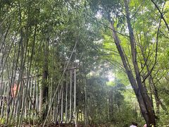 -宜兴张公洞