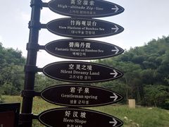 -宁波浙东大竹海景区