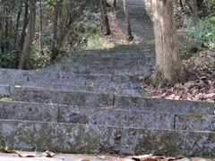 -午潮山国家森林公园