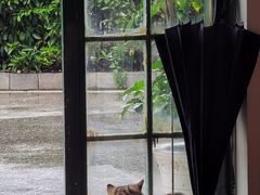 -参差咖啡(水果湖公园店)