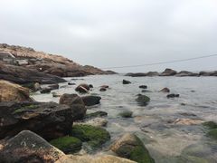 -广东惠东海龟国家级自然保护区
