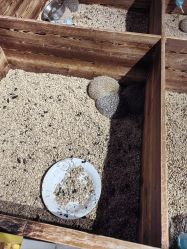 -酷嗒动物文化乐园(cutezoo西溪乐天城店)