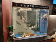 -肆月河豚·新淮扬菜·烤鸭(中关村店)