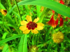 -永定河休闲森林公园