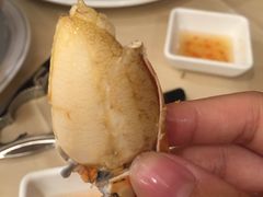 -金鮀岛潮州酒家